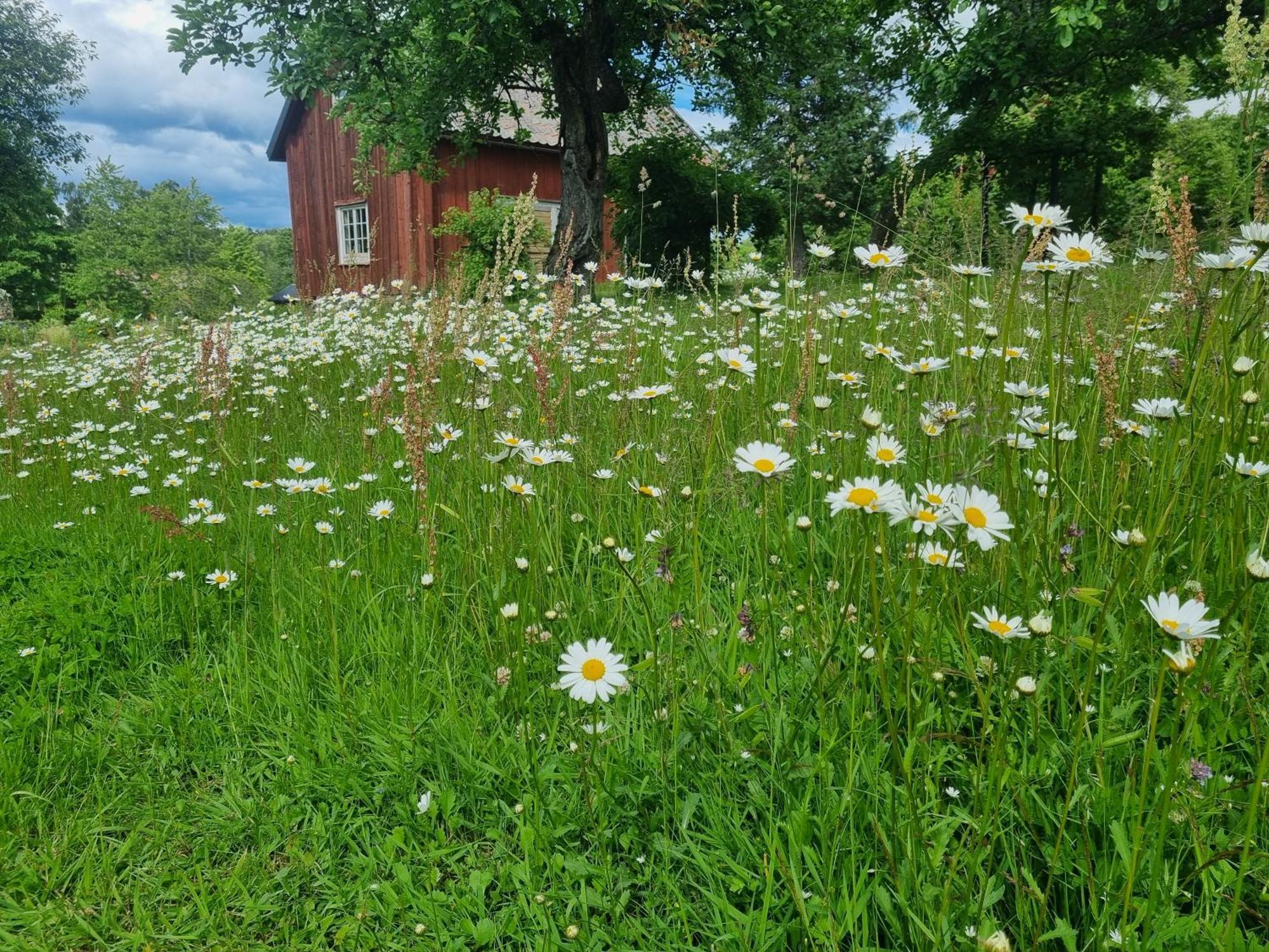 Skölvs Gård Pensionat Glanshammar Exteriör bild